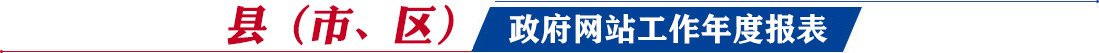 縣（市、區(qū)）網(wǎng)站工作年度報表